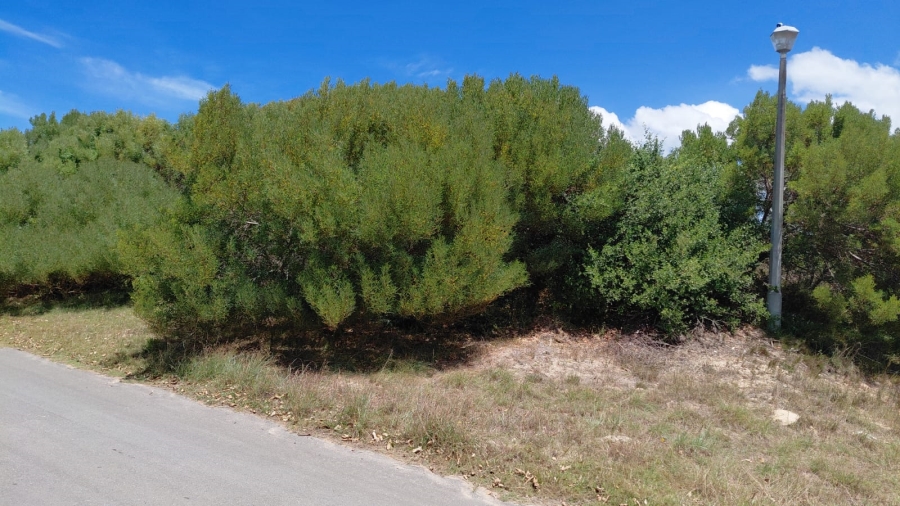 0 Bedroom Property for Sale in Paradise Beach Eastern Cape